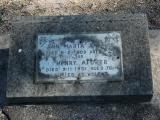 image of grave number 850078